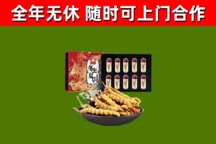 肥东回收冬虫夏草价格